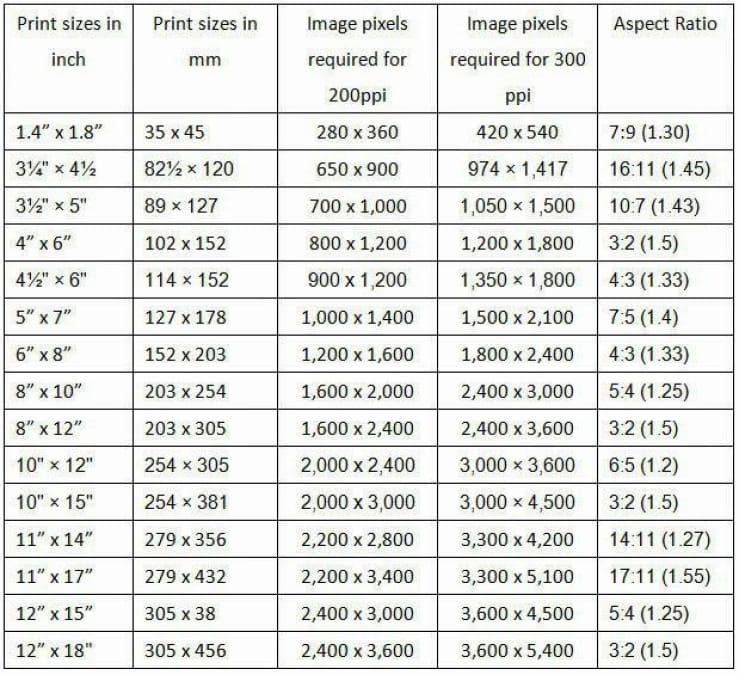 Finding the Right Image Size for Your WordPress Site