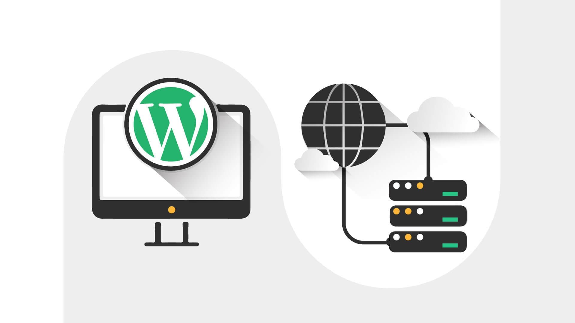 Understanding the Basics of WordPress Hosting Options