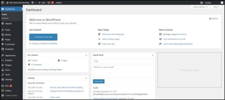 Can You Use WordPress with cPanel? Here’s What You Need to Know