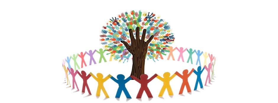 Building a Community: How Matt Fostered⁣ Collaboration and Growth