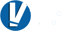 VizzioLand Logo Horizontal | Ecommerce Development for Canada